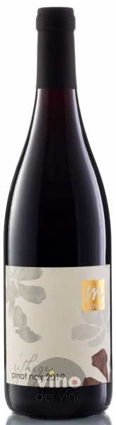 Pinot Noir Bio